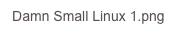 Damn Small Linux 1.png
