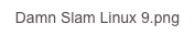 Damn Slam Linux 9.png