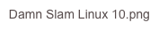 Damn Slam Linux 10.png