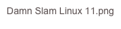Damn Slam Linux 11.png