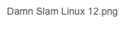 Damn Slam Linux 12.png