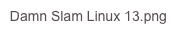 Damn Slam Linux 13.png