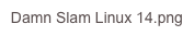 Damn Slam Linux 14.png