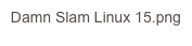 Damn Slam Linux 15.png