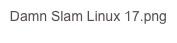 Damn Slam Linux 17.png