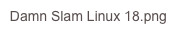 Damn Slam Linux 18.png