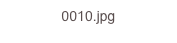 0010.jpg