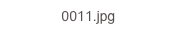 0011.jpg