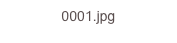 0001.jpg