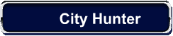 City Hunter