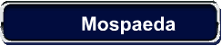 Mospaeda