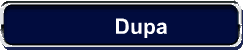 Dupa