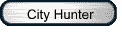 City Hunter