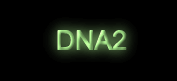 DNA2