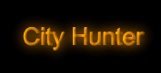 City Hunter