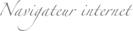 Navigateur internet